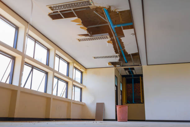 Best Commercial water damage restoration  in East Dundee, IL