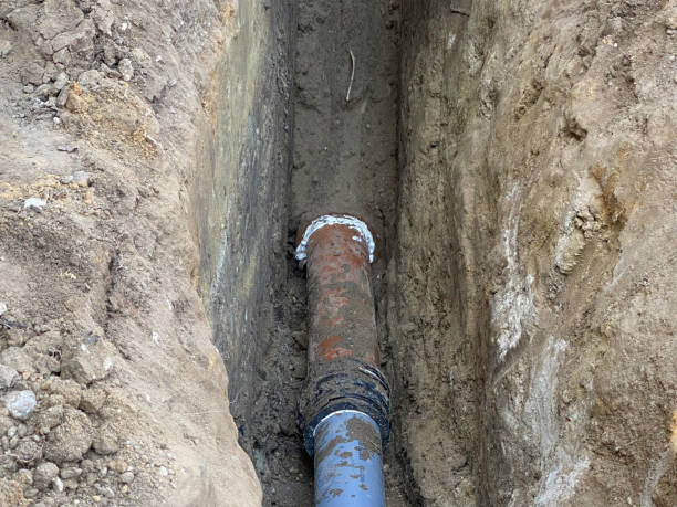 Best Professional water damage repair  in East Dundee, IL
