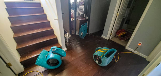 Best Sewage cleanup and water damage restoration  in East Dundee, IL