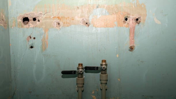 Best Water damage contractors near me  in East Dundee, IL
