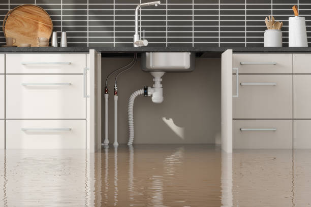 Best Basement water damage restoration  in East Dundee, IL