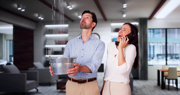 Professional Water damage restoration in East Dundee, IL
